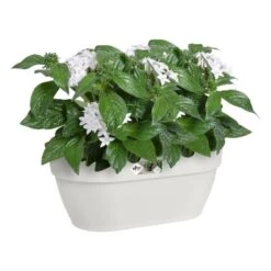Elho Plantenbak Vibia Campana Wall Basket 35cm Wit -Buitentuin elho plantenbak vibia campana wall basket 35cm wit 800x800 620e3d38eaa49 l