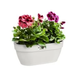 Elho Plantenbak Vibia Campana Wall Basket 35cm Wit -Buitentuin elho plantenbak vibia campana wall basket 35cm wit 800x800 620e3d3942caa l