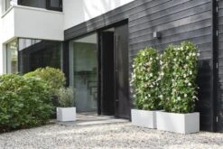 Elho Plantenbak Vivo Next Vierkant 40cm Wit