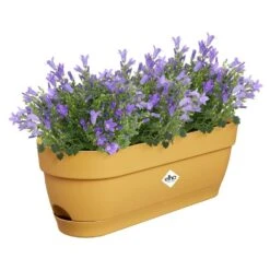 Elho Vibia Campana Balkonbak 50 Cm Geel -Buitentuin elho vibia campana balkonbak 50 cm geel 1000x1000 64aebb1db8ab2 l