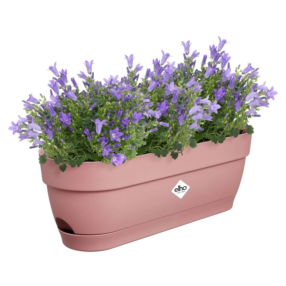 Elho Vibia Campana Balkonbak 50 Cm Roze 3 Elho Vibia Campana Balkonbak 50 Cm Roze