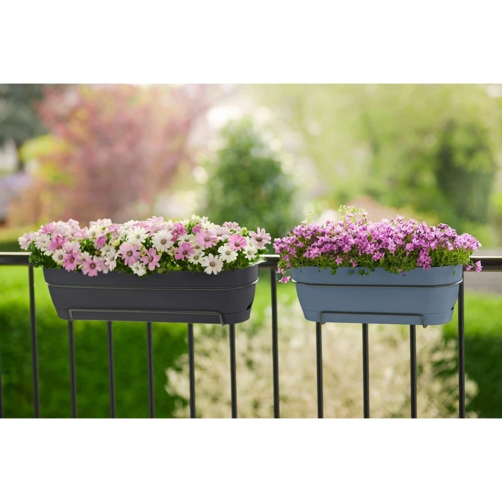 Elho Vibia Campana Balkonbak 70 Cm Zwart 8 Elho Vibia Campana Balkonbak 70 Cm Zwart - Afbeelding 6