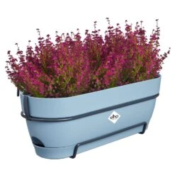 Elho Vibia Campana Balkonbak Allin1 50 Cm Blauw -Buitentuin elho vibia campana balkonbak allin1 50 cm blauw 1000x1000 64aebb0cdc7f2 l