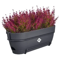 Elho Vibia Campana Balkonbak Allin1 50 Cm Zwart -Buitentuin elho vibia campana balkonbak allin1 50 cm zwart 1000x1000 64aebb08e39c9 l