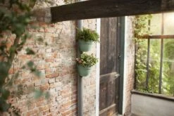 Elho Vibia Campana Regenpijpbakje 22 Cm Groen 13 Elho Vibia Campana Regenpijpbakje 22 Cm Groen -Buitentuin elho vibia campana regenpijpbakje 22 cm groen 2000x1334 64aea2bfb1d59 l