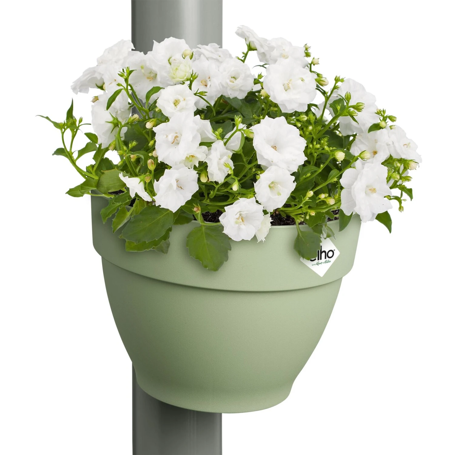 Elho Vibia Campana Regenpijpbakje 22 Cm Groen 4 Elho Vibia Campana Regenpijpbakje 22 Cm Groen - Afbeelding 2