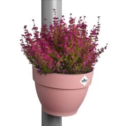 Elho Vibia Campana Regenpijpbakje 22 Cm Roze 10 Elho Vibia Campana Regenpijpbakje 22 Cm Roze -Buitentuin elho vibia campana regenpijpbakje 22 cm roze 2000x2000 64aea3f4d190b l