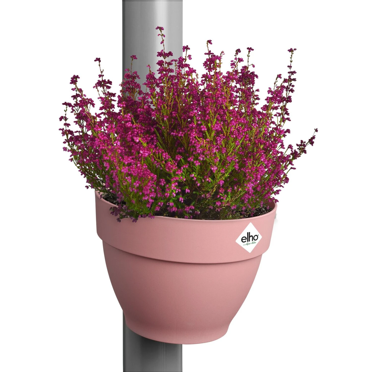 Elho Vibia Campana Regenpijpbakje 22 Cm Roze 5 Elho Vibia Campana Regenpijpbakje 22 Cm Roze - Afbeelding 3