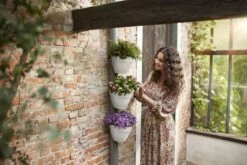 Elho Vibia Campana Regenpijpbakje 22 Cm Wit 12 Elho Vibia Campana Regenpijpbakje 22 Cm Wit -Buitentuin elho vibia campana regenpijpbakje 22 cm wit 2000x1334 64aea45e4327f l