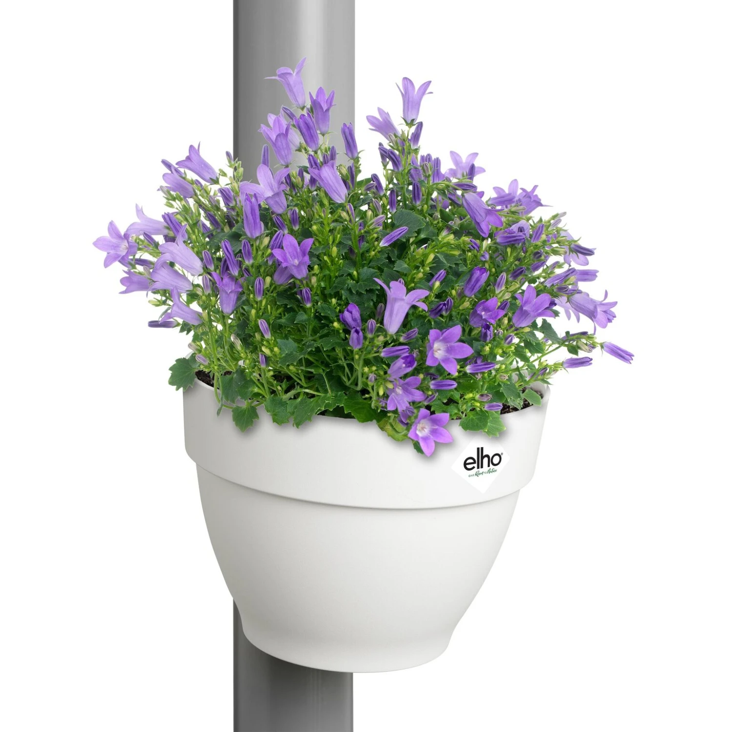 Elho Vibia Campana Regenpijpbakje 22 Cm Wit 4 Elho Vibia Campana Regenpijpbakje 22 Cm Wit - Afbeelding 2