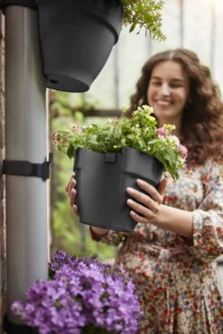 Elho Vibia Campana Regenpijpbakje 22 Cm Zwart 15 Elho Vibia Campana Regenpijpbakje 22 Cm Zwart -Buitentuin elho vibia campana regenpijpbakje 22 cm zwart 1334x2000 64aea4bb9e55d l