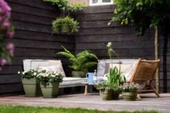 Elho Vibia Campana Schaal 27cm -Buitentuin elho vibia campana schaal 27cm 344x230 65537e8ee2e0a l