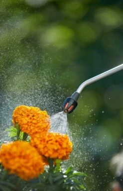 GARDENA Drukspuit 5 L 7 GARDENA Drukspuit 5 L -Buitentuin gardena drukspuit 5 l 1619704865 1 l