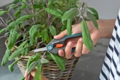 GARDENA FreshCut 9 GARDENA FreshCut -Buitentuin gardena freshcut 1500x1000 640af8175f65c l