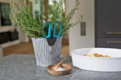 GARDENA HerbCut Set 9 GARDENA HerbCut Set -Buitentuin gardena herbcut set 1500x1000 640af8238ccaf l