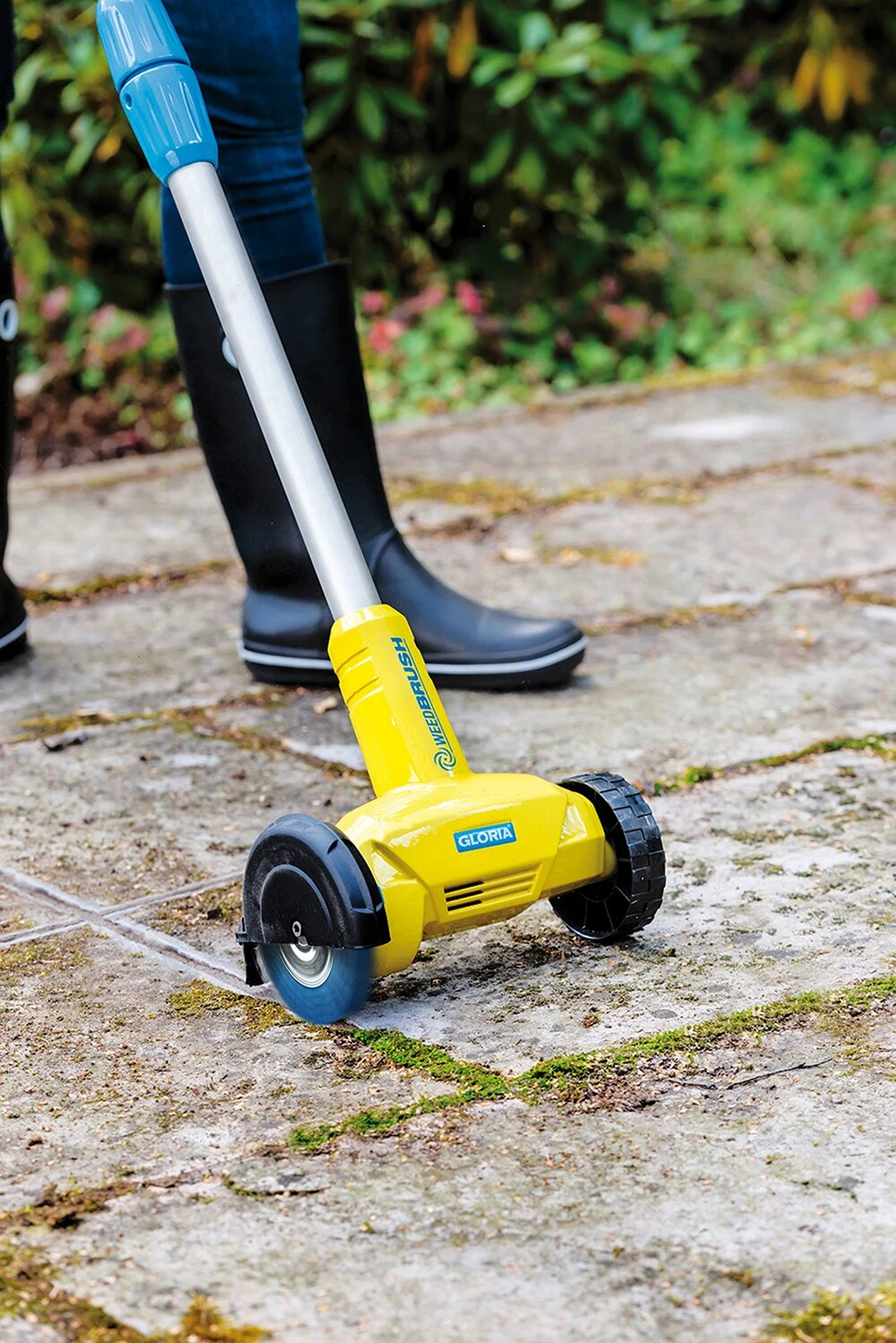 Gloria Voegenborstel Nylon 5 Gloria Voegenborstel Nylon - Afbeelding 3