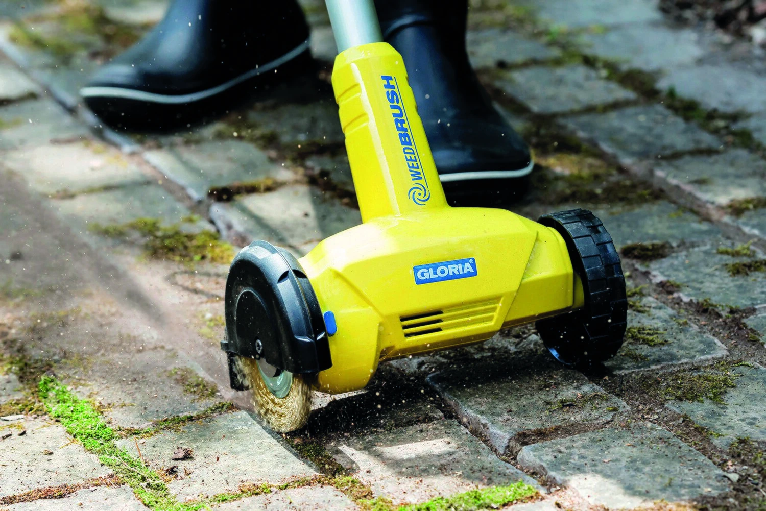 Gloria Voegenborstel Staaldraad 4 Gloria Voegenborstel Staaldraad - Afbeelding 2