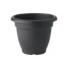 Elho Green Basics Campana 35cm Living Black -Buitentuin green basics campana 35cm living black 300x300 67f3ceb99a854 l