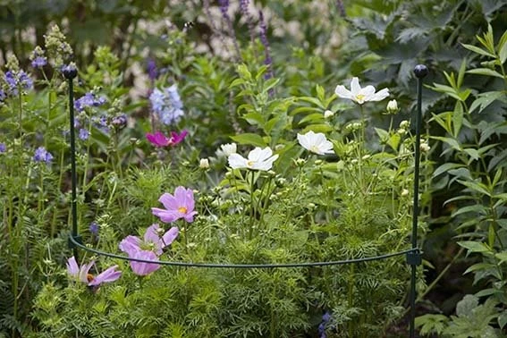 Grondpin Standaard - 7 Mm125 Cm 4 Grondpin Standaard - 7 Mm125 Cm - Afbeelding 2