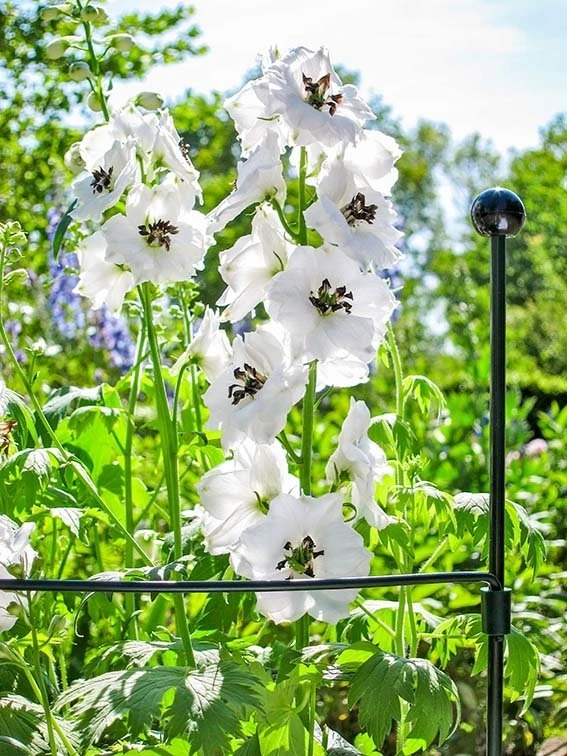 Grondpin Standaard - 7 Mm150 Cm 4 Grondpin Standaard - 7 Mm150 Cm - Afbeelding 2