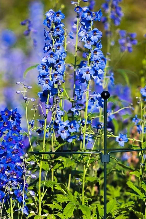 Grondpin Standaard - 7 Mm175 Cm 5 Grondpin Standaard - 7 Mm175 Cm - Afbeelding 3