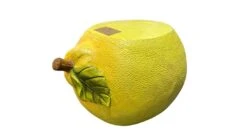 Krukje Citroen - B 45 X D 32 X H 26 Cm