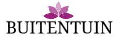 Buitentuin