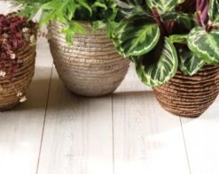 Mand Waterhyacint 3 Kl. Ass - Ø 24 X H 22 Cm 11 Mand Waterhyacint 3 Kl. Ass - Ø 24 X H 22 Cm -Buitentuin mand waterhyacint 3 kl ass 24 x h 22 cm 1000x799 624172ed44d71 l