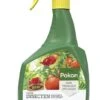 Pokon Bio Tegen Insecten Polysect GYO Spray 800ml 1 Pokon Bio Tegen Insecten Polysect GYO Spray 800ml -Buitentuin pokon bio tegen insecten spray 800ml 1614005874 l