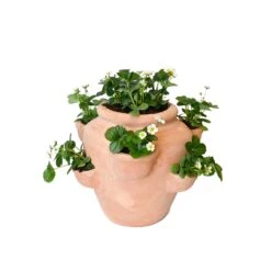 Pot Aardbei Natural Terra - D 40 X H 35 Cm
