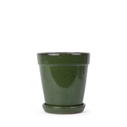 Pot Met Schotel D 22 X H 24 Cm Green/black