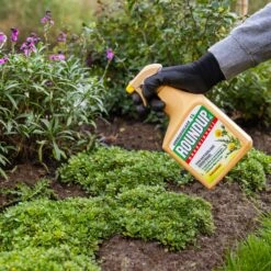 ROUNDUP® NS Natuurlijk Onkruidvrij Onkruidspuit 1L 9 ROUNDUP® NS Natuurlijk Onkruidvrij Onkruidspuit 1L -Buitentuin roundup ns natuurlijk onkruidvrij onkruidspuit 1l 4640x4640 67e2637d75355 l