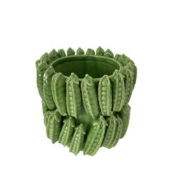 Vaas Bonen Klein H 17 Cm