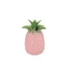 Vaas 'Pineapple Tropical' Roze - H 22 X D 16 Cm 2 Vaas 'Pineapple Tropical' Roze - H 22 X D 16 Cm -Buitentuin vaas pineapple tropical roze h 22 x d 16 cm 1200x1200 67b4a9ae037bd l