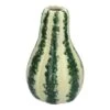 Vaas Pomea Groen - H 18 X D 11.5 Cm 1 Vaas Pomea Groen - H 18 X D 11.5 Cm -Buitentuin vaas pomea groen h 18 x d 11 5 cm 1500x1500 672b7b7e38514 l