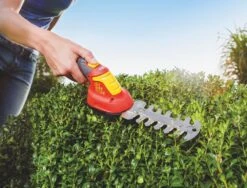 WOLF-Garten Accubuxus Finesse LI-ION PW 30B 7 WOLF-Garten Accubuxus Finesse LI-ION PW 30B -Buitentuin wolf garten accubuxus finesse li ion pw 30b 1619177776 1 l