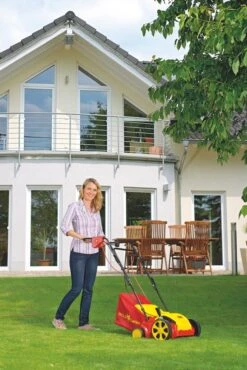 WOLF-Garten Elektro Verticuteermachine VA 303 E 9 WOLF-Garten Elektro Verticuteermachine VA 303 E -Buitentuin wolf garten elektro verticuteermachine va 303 e 1619177784 1 l